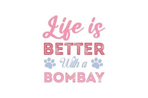 Bombay Cat SVG T-shirt Sublimation Review
